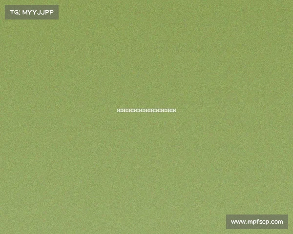 德甲足球文化探析：从球迷热情到球队精神的多维解读