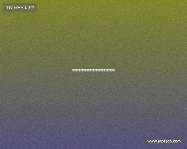 法甲裁判标准解析与实践对比：提升比赛公正性与技术应用探讨